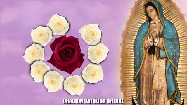 ORACIÓN DIARIA A LA VIRGEN MARÍA// DÍA 24//MIÉRCOLES 24 DE NOVIEMBRE DE 2021// смотреть онлайн