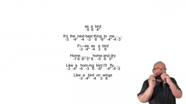 Harp On With Liverpool Harmonica - Free As A Bird