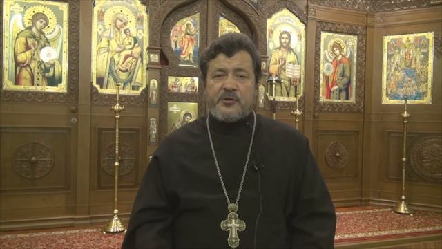 Слово Пастыря 13.11.2016 смотреть онлайн