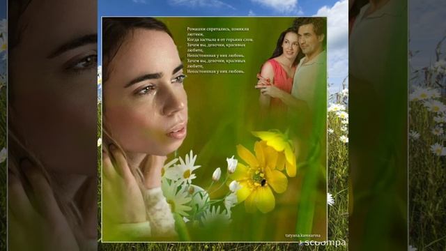 Встречаем утро с ромашками и хорошей песней!!!! смотреть онлайн