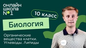 Органические вещества клетки. Углеводы и липиды. Биология 10 класс. Видеоурок 4
