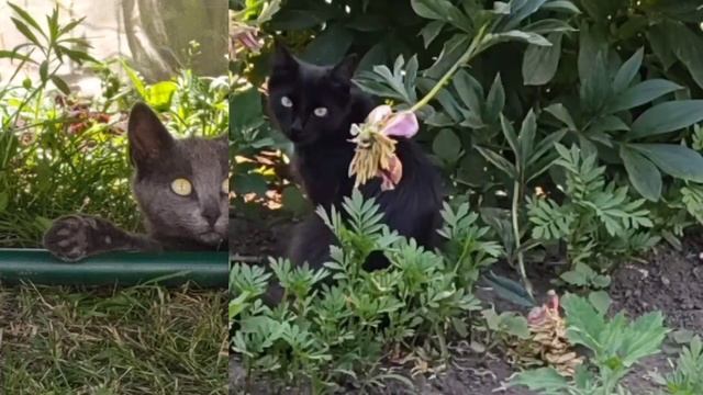 Дикие | лента фотографий. смотреть онлайн