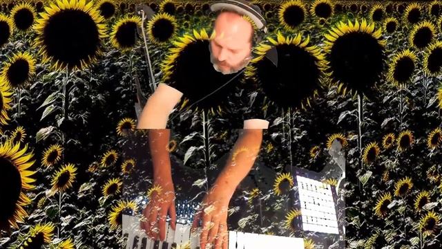 Improv Missing the Sunflowers Already! Explore Live Looping Loops with Loopy Animations смотреть онлайн