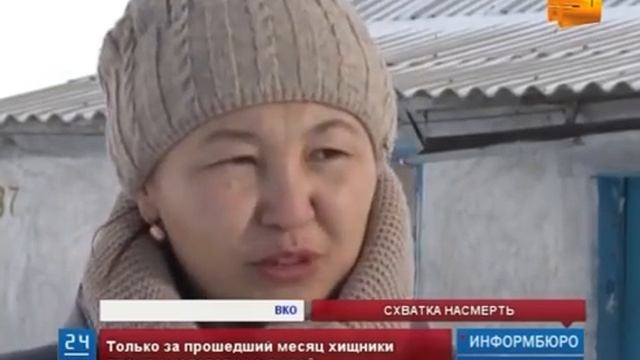 Жители аула в Восточно-Казахстанской области страдают от нашествия волков