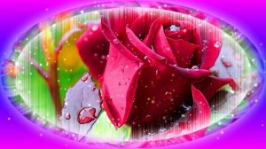 Футаж. Цветочный фон 31