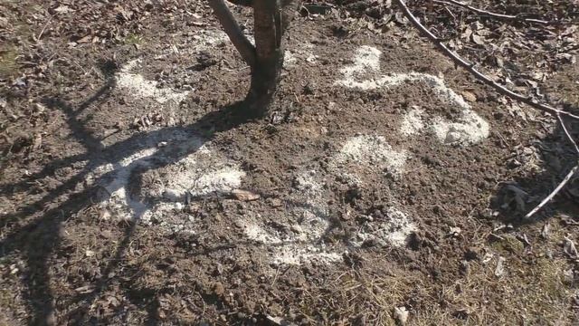 Внесение доломитовой муки смотреть онлайн