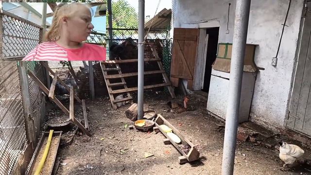 Не выдержал жары😪 Осиротели Ремонт продолжается🏡Июль Кубань смотреть онлайн