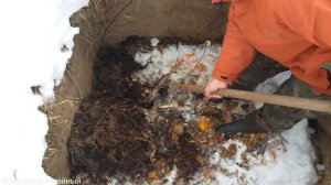Разведение червей в домашних условиях для начинающих