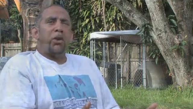 Breeding Shih Tzu смотреть онлайн