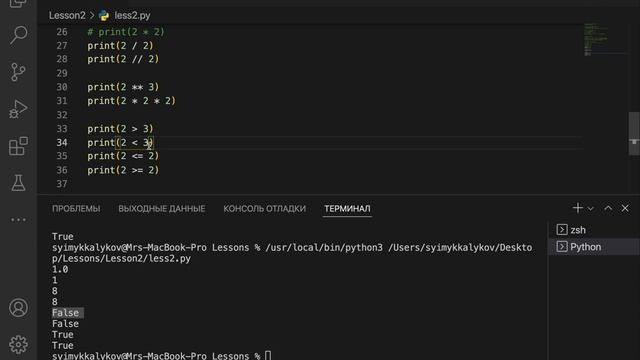Python с нуля. Урок 2. Lesson 2. input-запрос программы, f-форматирование, математические операторы смотреть онлайн