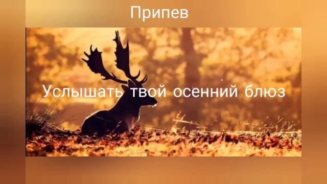 Осенняя песня!Осенний Блюз, текст песни смотреть онлайн