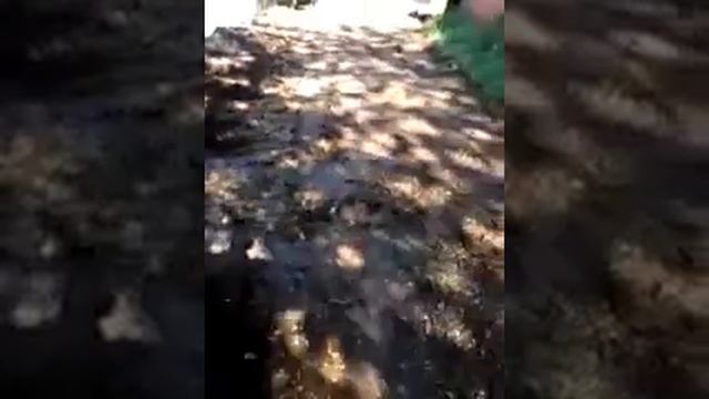 Превращение Новотроицкого водохранилища в помойку возле базы отдыха попало на видео смотреть онлайн