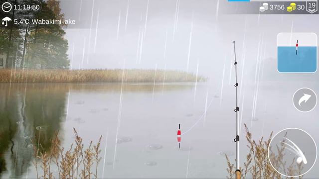 Trophy Brown Bullhead Spot | Amazing XP | Wabakimi Lake | My Fishing World смотреть онлайн