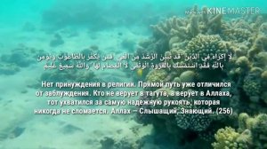 Сура «Аль-Бакара», аяты 255-257. Чтец Ислам Субхи. Прекрасное чтение!!!
