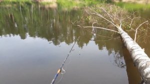 Ловля щуки на рогатку.