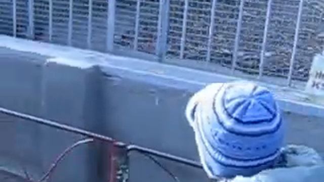 Игорь 16 декабря 2011 года. Зоопарк Одесса. БЕЗ ЗВУКА Ч.3 смотреть онлайн