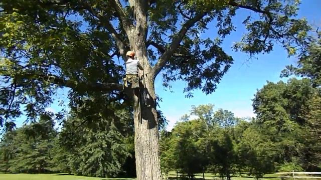 Introducing the JRB DSRT Climbing Method смотреть онлайн