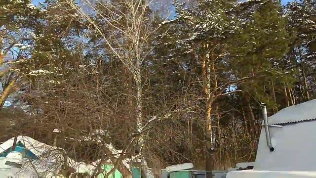 Дача.Зимний лес.Прыжок с крыши. смотреть онлайн