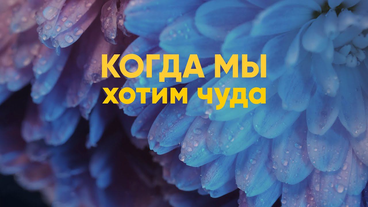 Когда мы хотим чуда смотреть онлайн