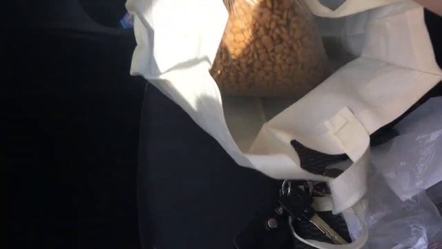 VLOG: Сейчас все кушают. Опасаюсь.Давно не делала уколы. смотреть онлайн