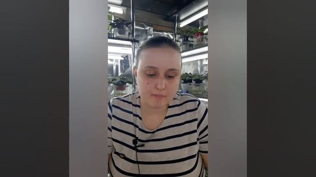 Уход за фиалками в домашних условиях. Ответы на вопросы зрителей. Запись эфира 9.01.22 смотреть онлайн
