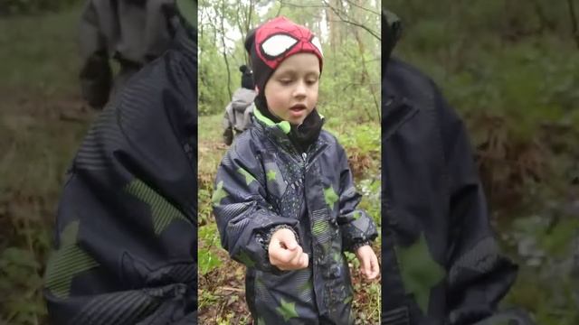 Тритоны, которые едят ракообразных смотреть онлайн