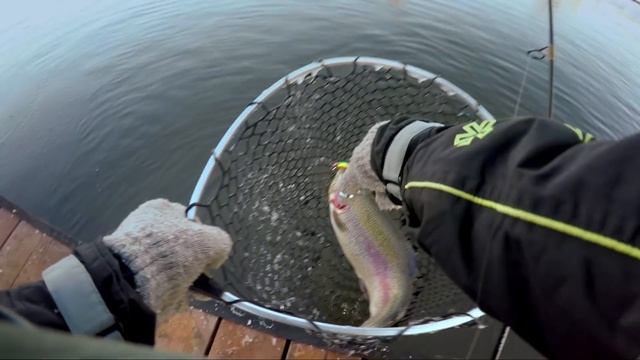 Ловля форели зимой на воблеры и раттлины - Fishing Today смотреть онлайн