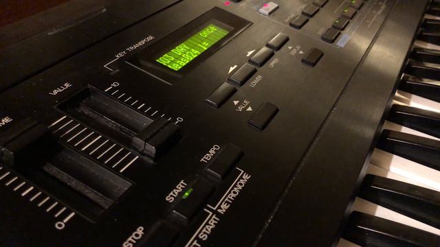 Happy 303 Day! 🙂 With Roland D-20 смотреть онлайн