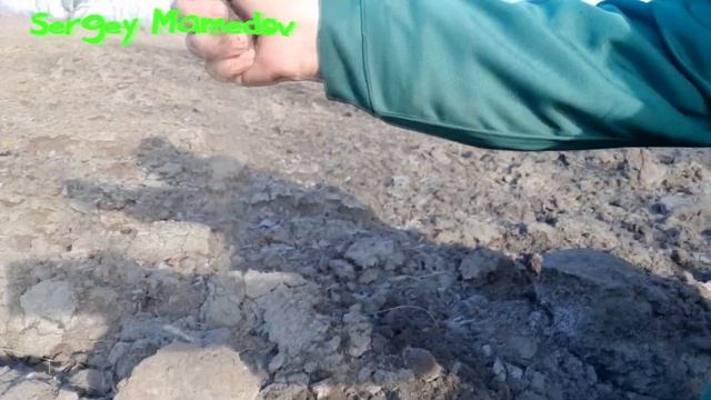 ПОРА САЖАТЬ КАРТОШКУ! смотреть онлайн