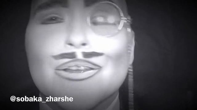 Собака ЖАршэ ЦИНИЧКА ДНЯ «Тунеядцы» смотреть онлайн