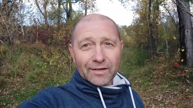 Это случится за час до сна смотреть онлайн