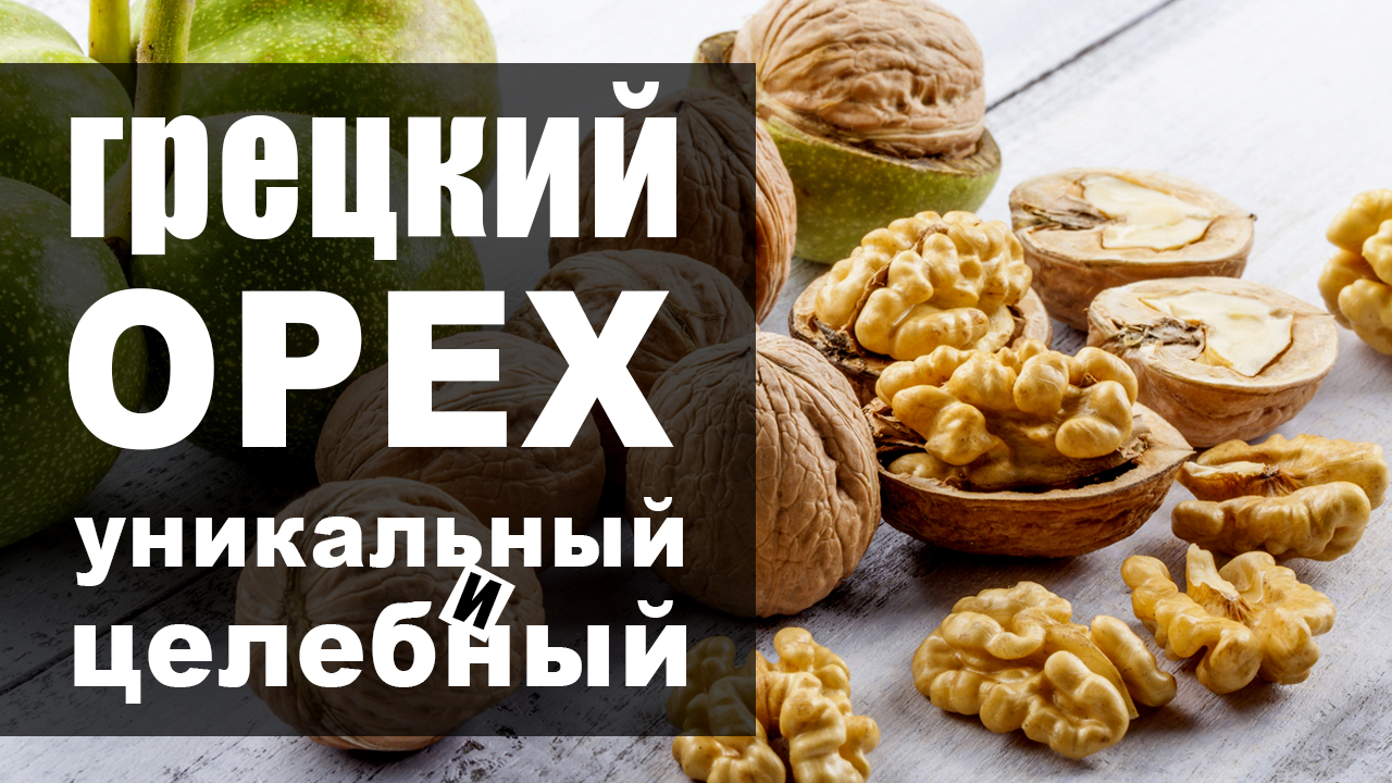 Грецкий орех - польза и вред. От чего спасает при ежедневном употреблении? смотреть онлайн