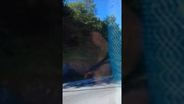 Самые высокие Холмы Абхазии смотреть онлайн