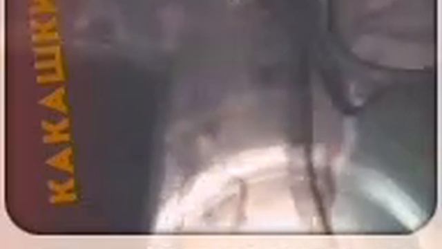 shit born смотреть онлайн