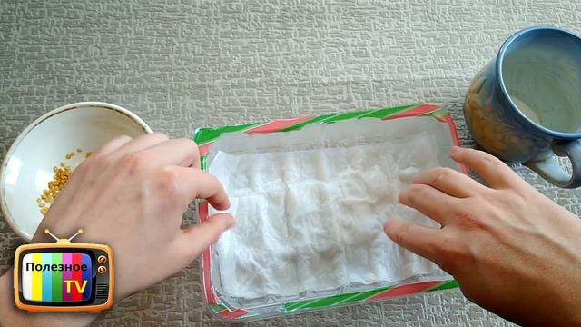 ОБАЛДЕННЫЙ СПОСОБ ПРОРАЩИВАНИЯ СЕМЯН БЫСТРЫЕ ВСХОДЫ ГАРАНТИРОВАННЫ смотреть онлайн