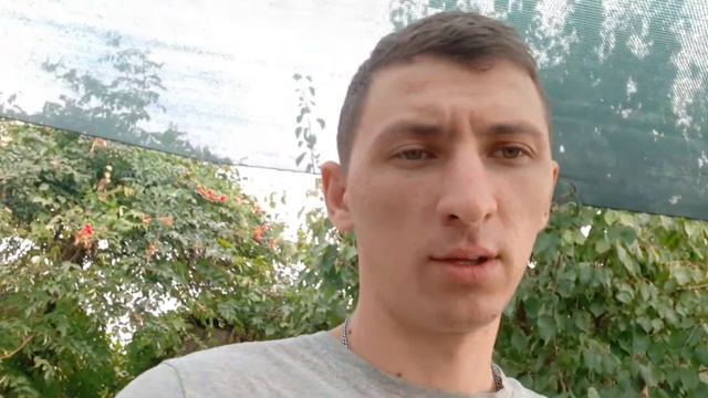 Инвертированный сироп для пчёл. Как готовим? Какие пропорции? смотреть онлайн