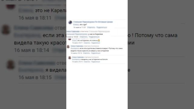 Лось-то не карельский, а американский #shorts #петрозаводск #карелия #животные #лес #лось смотреть онлайн