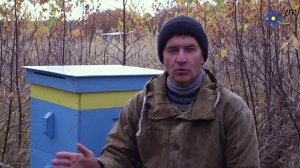 Когда Карпатка и Карника бывают злыми