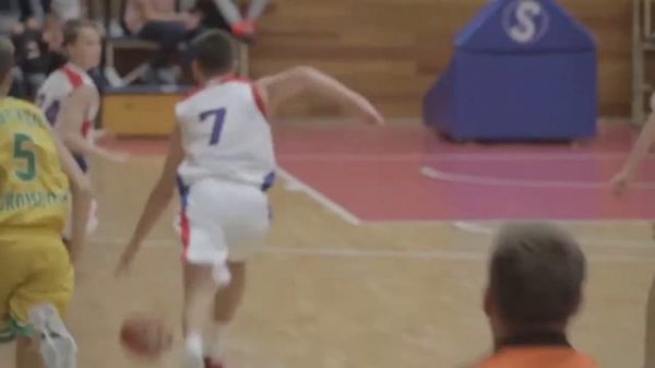 Ivan Zimin 2017 State Championship Highlights