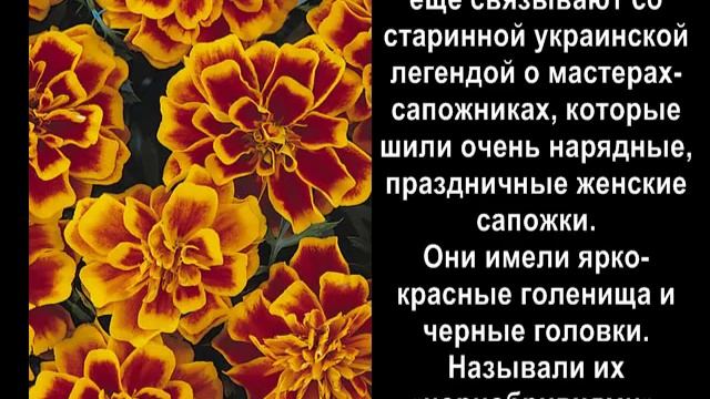 Бархатцы (чорнобривці) из бисера. Самое интересное. Вдохновлялочка. смотреть онлайн