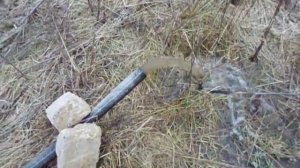 дренажный насос качает 200 метров