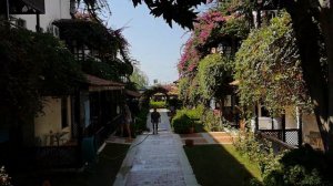 Обзор Club Titan Hotel 4* (территория бунгало)