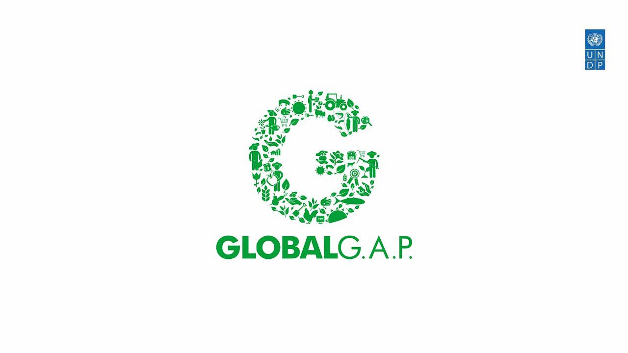 Стандарт GlobalGAP - Основные принципы и требования.