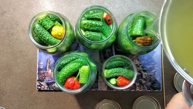 Маринованный огурец с острым перцем Каролина рипер и Хабанеро. смотреть онлайн