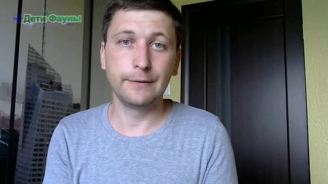 Цефтриаксон. Бициллин 3. Разведение антибиотиков смотреть онлайн