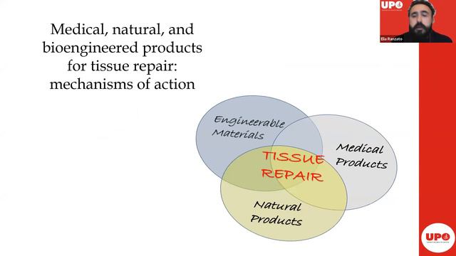 La filiera apistica: dalla valorizzazione delle produzioni all'innovazione смотреть онлайн