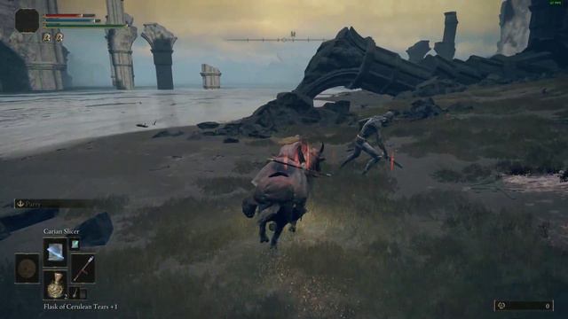 Seaside Ruins All Collectibles Location Elden Ring смотреть онлайн