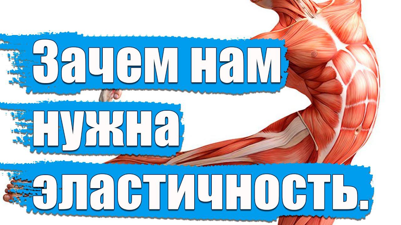 Эластичность мышц.Влияние на утомление. смотреть онлайн