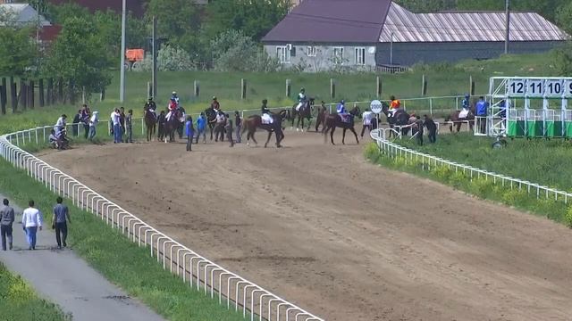 15.05.2021 Скачки на Грозненском ипподроме 779 смотреть онлайн