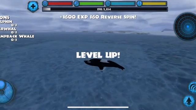 How to break ice +Instant panic| Orca Simulator смотреть онлайн